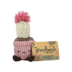 Greenhouse by Russ 6" Corduroy Potted Plant - Mara the Flowering Cactus