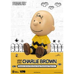 Beast Kingdom Piggy Bank Peanuts Series Palm Size Vinyl Functional Figurine Charlie Brown