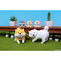 Shibanban Blind Box Series Shibanban Blind Box