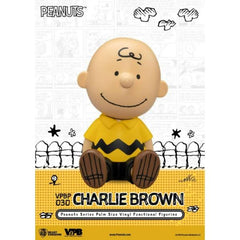 Beast Kingdom Piggy Bank Peanuts Series Palm Size Vinyl Functional Figurine Charlie Brown