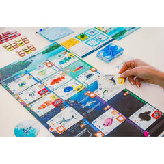 Finspan Board Game