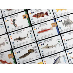 Finspan - Sharks & Reefs Expansion