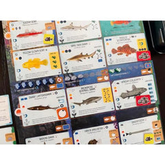 Finspan - Sharks & Reefs Expansion