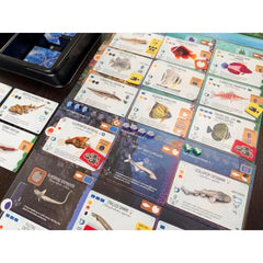 Finspan - Sharks & Reefs Expansion