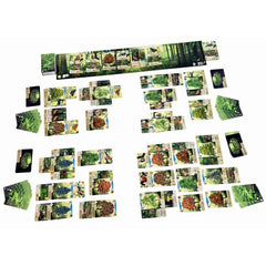 Forest Shuffle Card Game