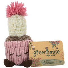 Greenhouse by Russ 6" Corduroy Potted Plant - Mara the Flowering Cactus
