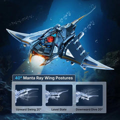 Robotime Models Manta Ray