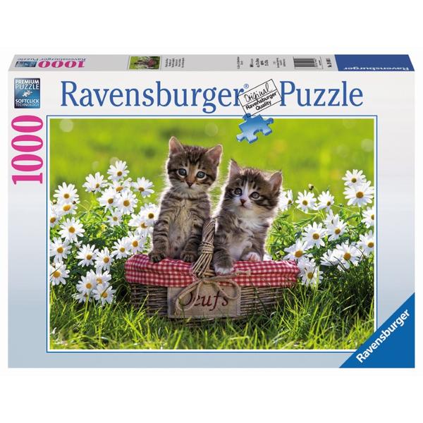 Ravensburger - Picnic in the Meadow 1000pc Puzzle