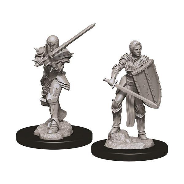 D&D Nolzurs Marvelous Unpainted Miniatures Female Human Fighter