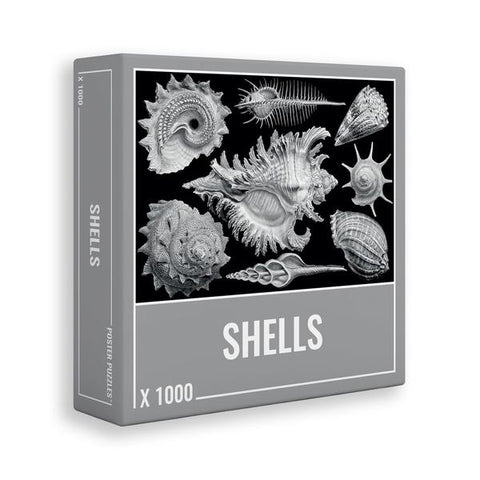 Cloudberries Shells Puzzle 1000 Pieces
